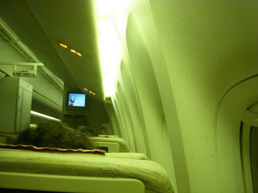 DSCN5521.JPG